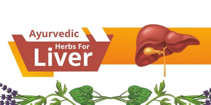 Liver ayurveda treatment