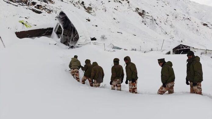Avalanche Strikes Chamoli: Survivors Recount Harrowing Experience